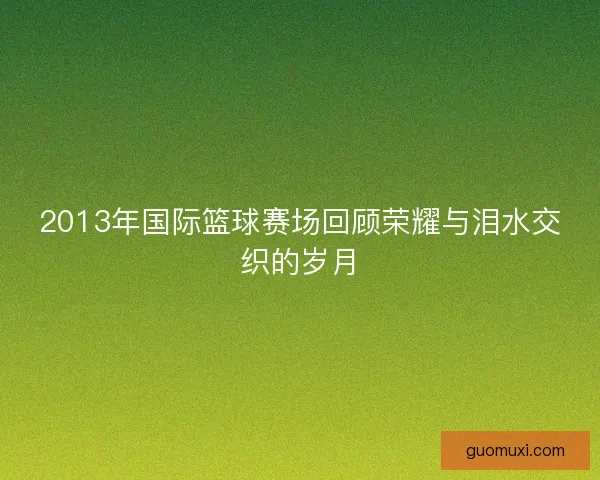 2013年国际篮球赛场回顾荣耀与泪水交织的岁月